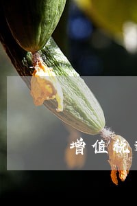 增值税逾期18天 增值税逾期18天