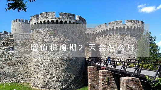 增值税逾期2天会怎么样 增值税逾期2天会怎么样