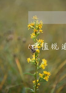 增值税逾期多久影响企业信用 增值税逾期多久影响企业信用