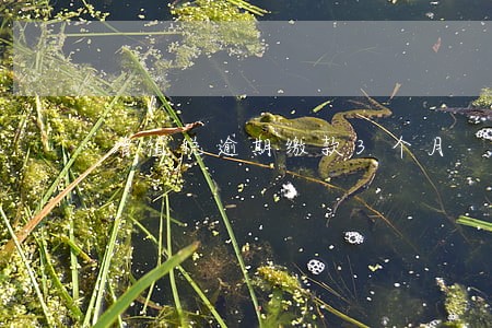 增值税逾期缴款3个月 增值税逾期缴款3个月