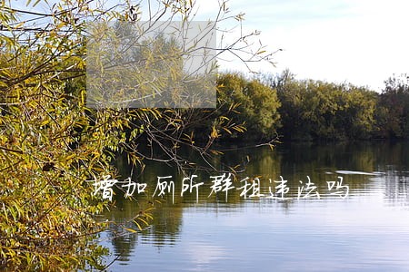 增加厕所群租违法吗 增加厕所群租违法吗