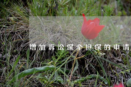 增加诉讼保全担保的申请