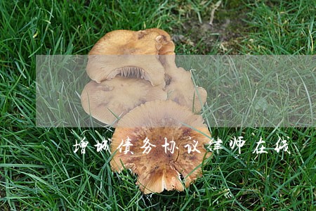 增城债务协议律师在线 增城债务协议律师在线