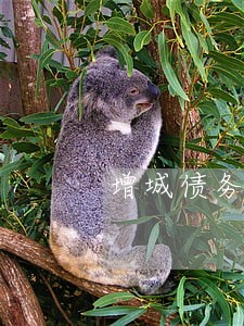 增城债务继承律师收费 增城债务继承律师收费
