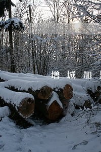 增城加盟纠纷律师咨询电话 增城加盟纠纷律师咨询电话