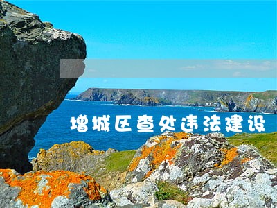 增城区查处违法建设 增城区查处违法建设