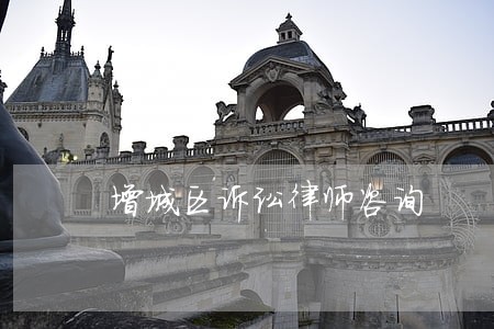 增城区诉讼律师咨询 增城区诉讼律师咨询