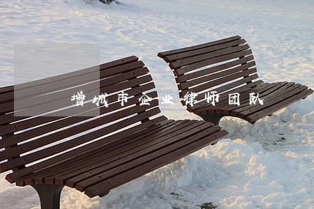 增城市企业律师团队 增城市企业律师团队