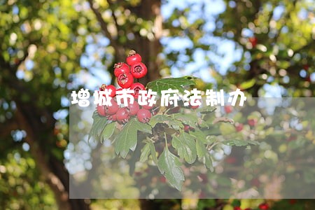 增城市政府法制办 增城市政府法制办