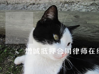 增城抵押合同律师在线