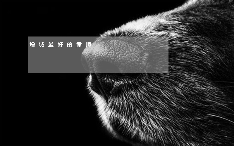 增城最好的律师 增城最好的律师