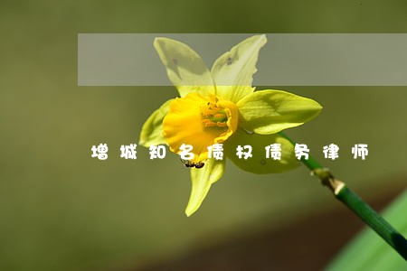 增城知名债权债务律师