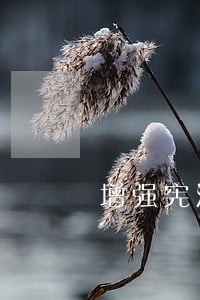 增强宪法观念推进法治进程 增强宪法观念推进法治进程