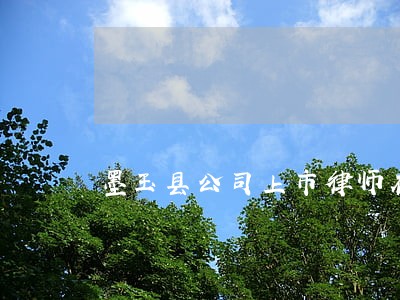 墨玉县公司上市律师在线免费咨询 墨玉县公司上市律师在线免费咨询