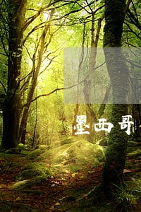 墨西哥律师 墨西哥律师
