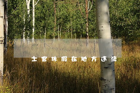 士官休假在地方违法 士官休假在地方违法