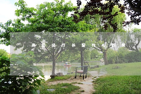 声司法厅长是什么职务