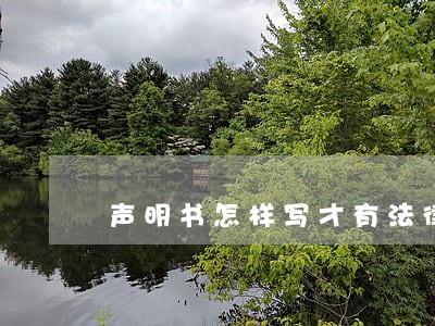 声明书怎样写才有法律效力