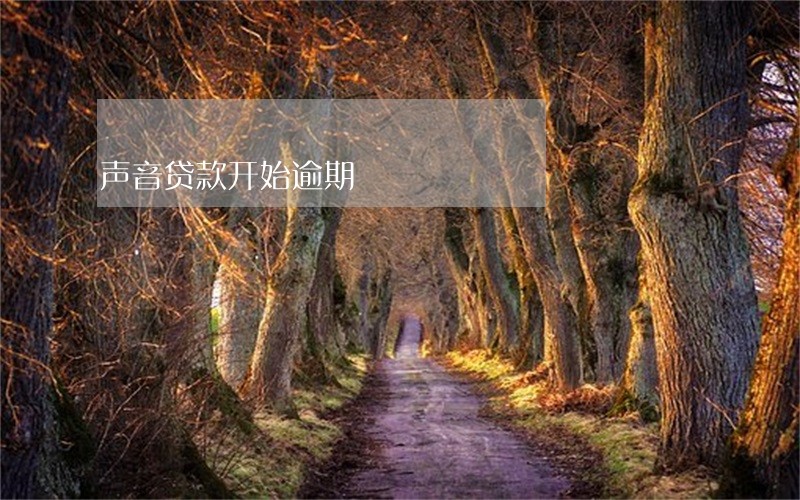 声音贷款开始逾期 声音贷款开始逾期