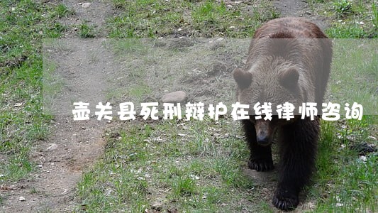 壶关县死刑辩护在线律师咨询 壶关县死刑辩护在线律师咨询