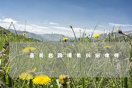壶关合同债务纠纷律师 壶关合同债务纠纷律师