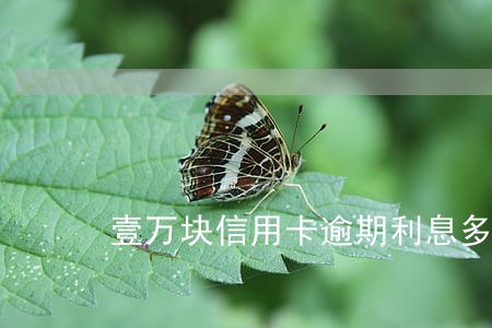 壹万块信用卡逾期利息多少 壹万块信用卡逾期利息多少