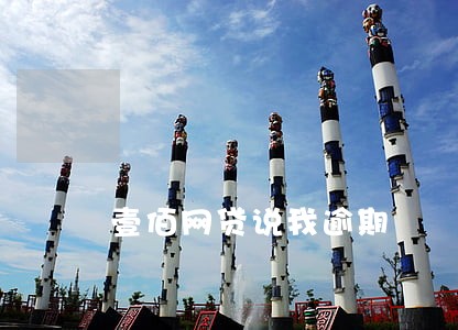 壹佰网贷说我逾期 壹佰网贷说我逾期