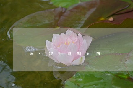 壹佰贷款逾期短信 壹佰贷款逾期短信