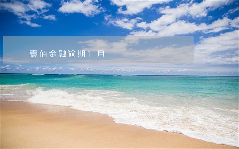 壹佰金融逾期1月 壹佰金融逾期1月