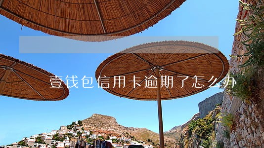 壹钱包信用卡逾期了怎么办 壹钱包信用卡逾期了怎么办