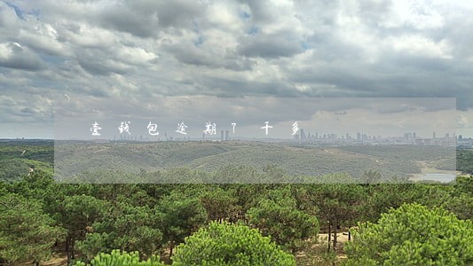 壹钱包逾期7千多 壹钱包逾期7千多