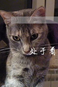 处于看守期间信用卡逾期 处于看守期间信用卡逾期
