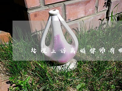 处理上诉离婚律师有哪些 处理上诉离婚律师有哪些