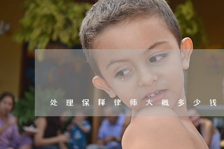 处理保释律师大概多少钱 处理保释律师大概多少钱