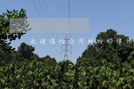 处理保险合同纠纷的律师 处理保险合同纠纷的律师