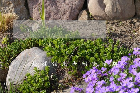 处理信用卡网贷逾期 处理信用卡网贷逾期