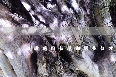 处理信用卡逾期后多久才能开卡 处理信用卡逾期后多久才能开卡