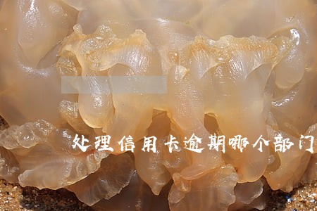 处理信用卡逾期哪个部门最好 处理信用卡逾期哪个部门最好