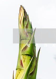 处理信用卡逾期最佳办法