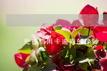 处理信用卡逾期的律师 处理信用卡逾期的律师