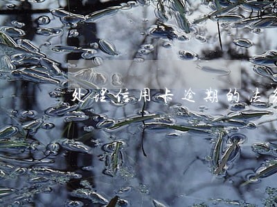 处理信用卡逾期的法务公司