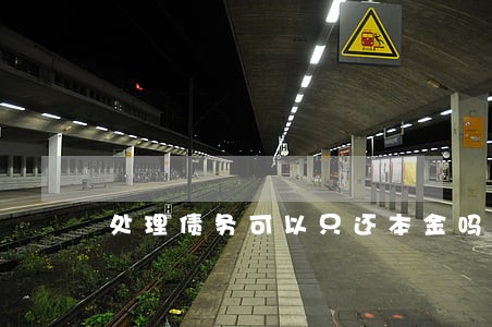 处理债务可以只还本金吗 处理债务可以只还本金吗