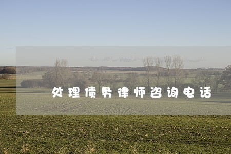 处理债务律师咨询电话 处理债务律师咨询电话