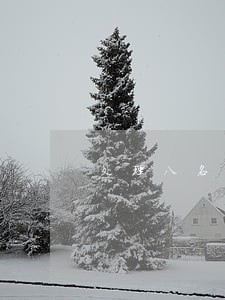 处理八名违法人员 处理八名违法人员