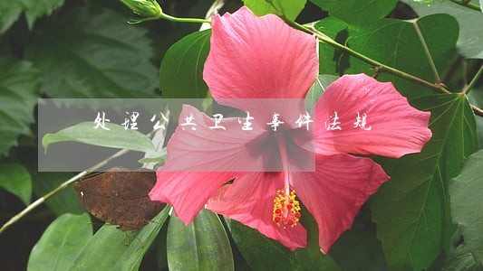处理公共卫生事件法规