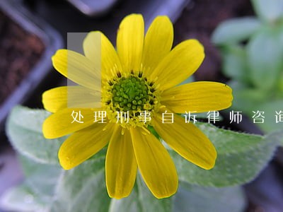 处理刑事自诉律师咨询热线 处理刑事自诉律师咨询热线