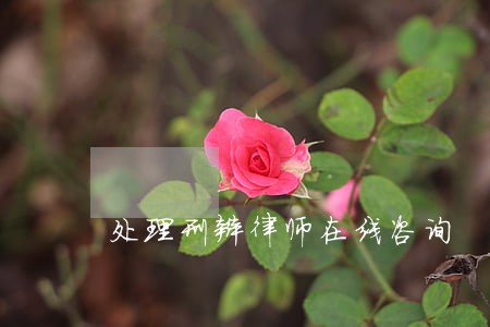 处理刑辩律师在线咨询 处理刑辩律师在线咨询
