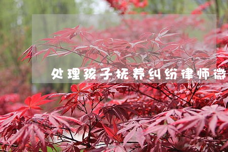 处理孩子抚养纠纷律师微信咨询 处理孩子抚养纠纷律师微信咨询
