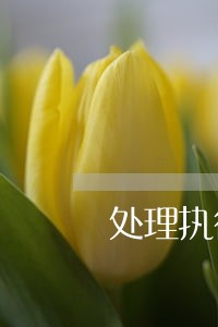 处理执行法律顾问电话咨询 处理执行法律顾问电话咨询