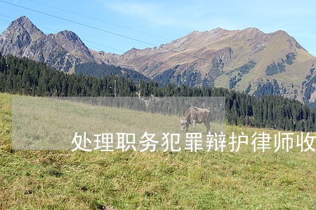 处理职务犯罪辩护律师收费